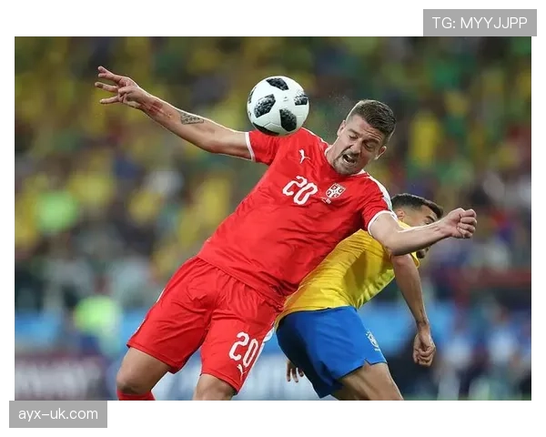 维罗纳高压逼抢体系成效显著，球队表现引发广泛关注