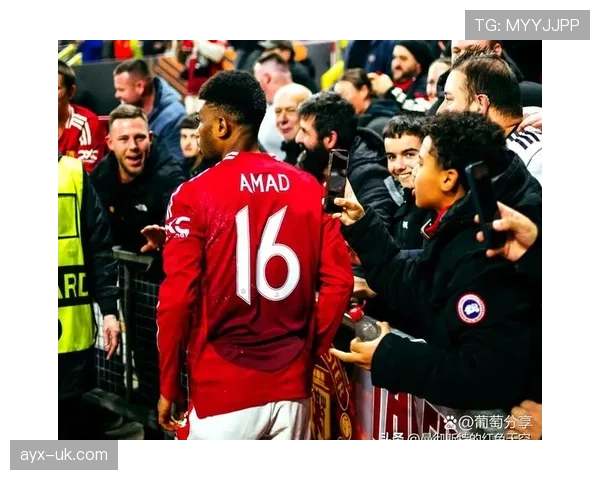 英超新赛季揭幕，新锐球队强势崛起引关注