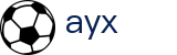 爱游戏 (AYX)体育平台 - 官方体育服务体系